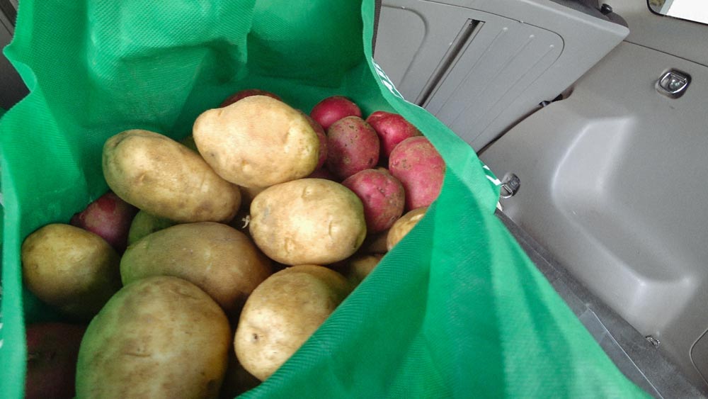 free farm ugly vegetable potato