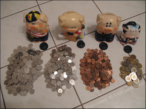 Piggy Bank Coins